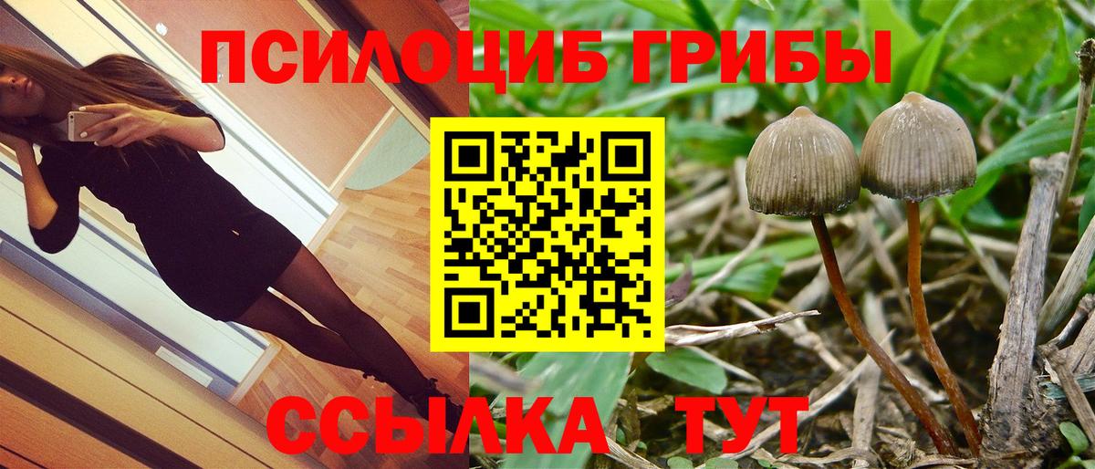 Химки  Галлюциногенные грибы Psilocybine cubensis  Вход с VPN 