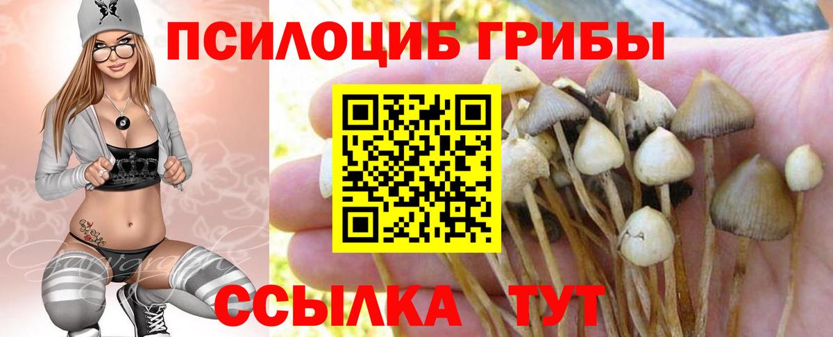 Галлюциногенные грибы мицелий Химки